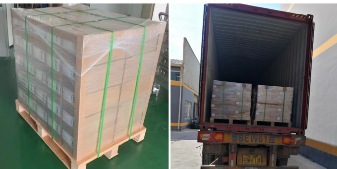 Catena A Rulli DOLUNTO - 1,5 Metri Con Attacco A Doppio Foro Per Trasportatori - Foto 5